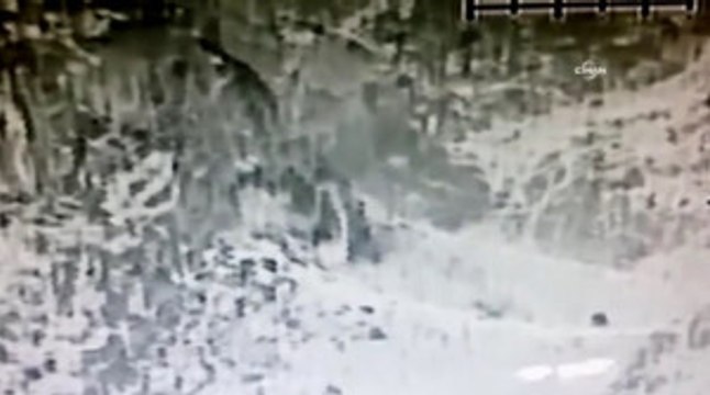 Türk Silahlı Kuvvetleri 112 Teröristin Etkisiz Hale Getirildiğini Açıkladı