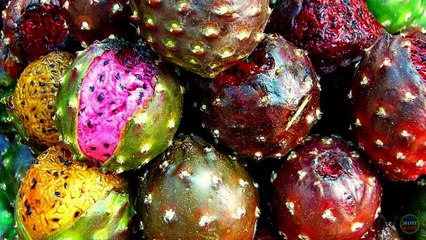 15 Odd Fruits You Didn't Know Existed