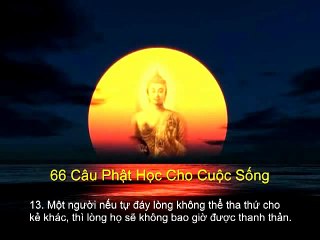 66 câu Phật Học - Câu Thiền Ngữ Hay Nhất Mọi Thời Đại