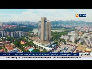 ريبورتاج: البيتانك وسكايتبورد.. هواة يطرقون باب العالمية