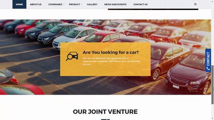 Video presentation of the website of HNS Group Designed by ROOPOKAR