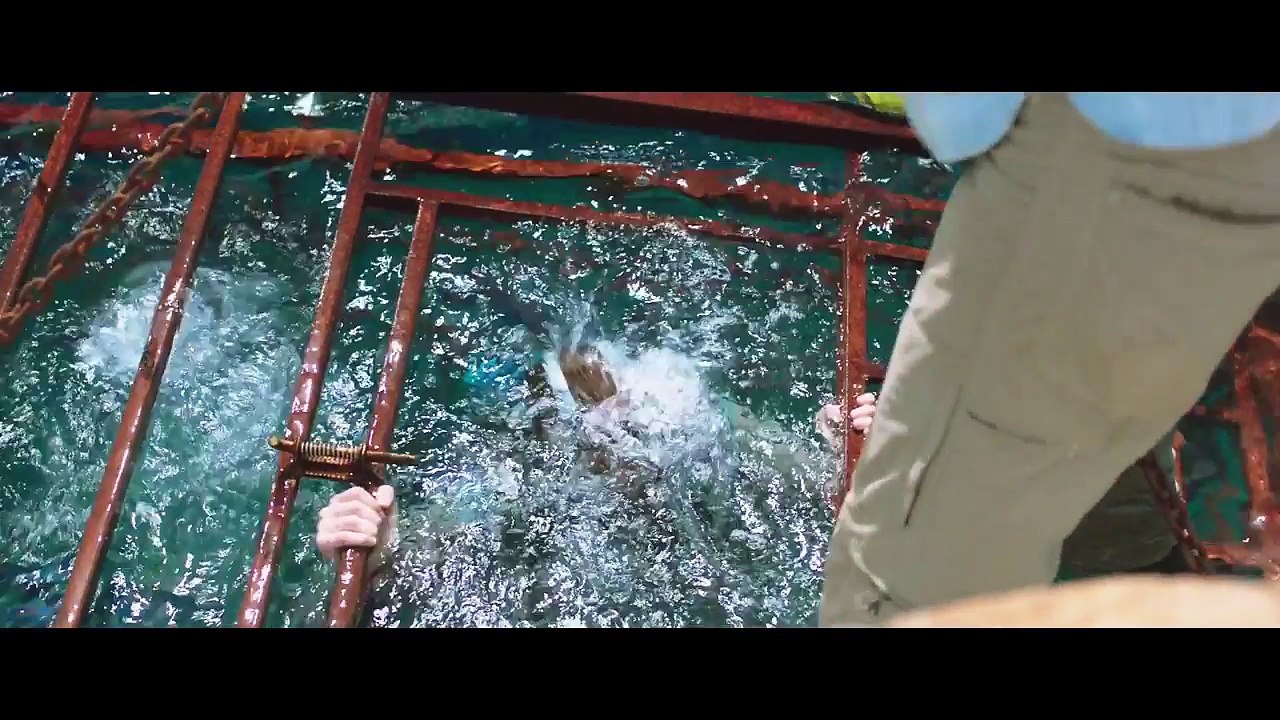 47 Metres Down Official Trailer (2017)