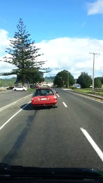 Il fait conduire son gamin, et en plus il a une chevre dans le coffre... L'hallu totale
