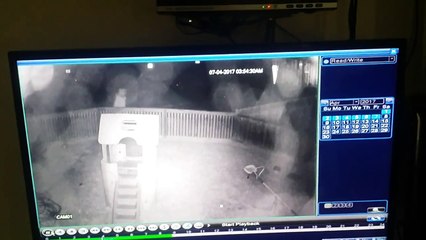 Une droguée vient voler le toboggan pour enfant dans un jardin