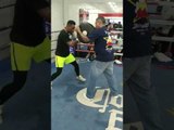 WBC 154 Chamo Jermell Charlo EXPLOSIVE In The Ring - esnews boxing