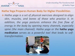 Understanding The Fundamentals of Hatha Yoga