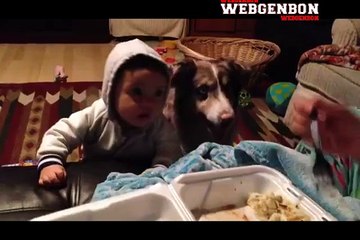 Çocuğa mama dedirtmeye çalışırken köpeğin mama demesi
