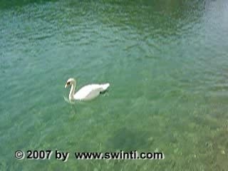 Angst Wandler - Film auf meiner Homepage