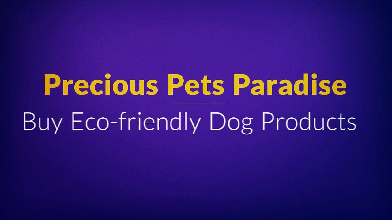 Precious Pets Paradise Offer Best Designer Dog Beds