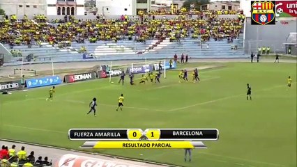 Ariel Nahuelpan