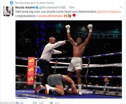 anthony joshua | anthony joshua VS. wladimir klitschko | anthony joshua beats wladimir klitschko at wembley stadium