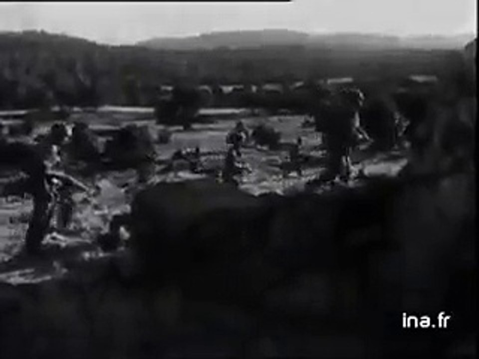 Ralliement massif de la population à Palestro face aux violeurs du F.L.N - YouTube