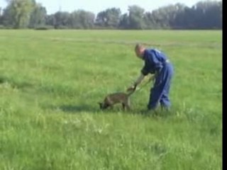 Be Aware Aphrodite-Fährte-Sept-07