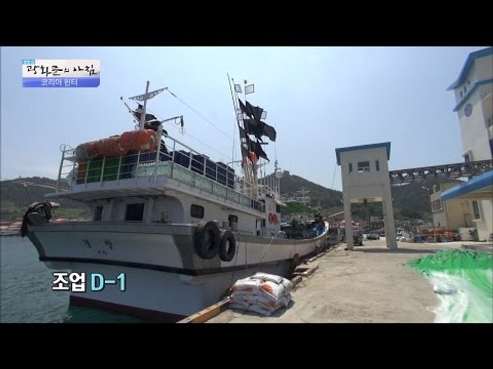 그물 가격만 2000만원?! 추자도의 가을 보물은?! [광화문의 아침] 316회 20...