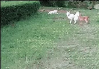 Hayattaki fırsatların peşinden koşarken ben