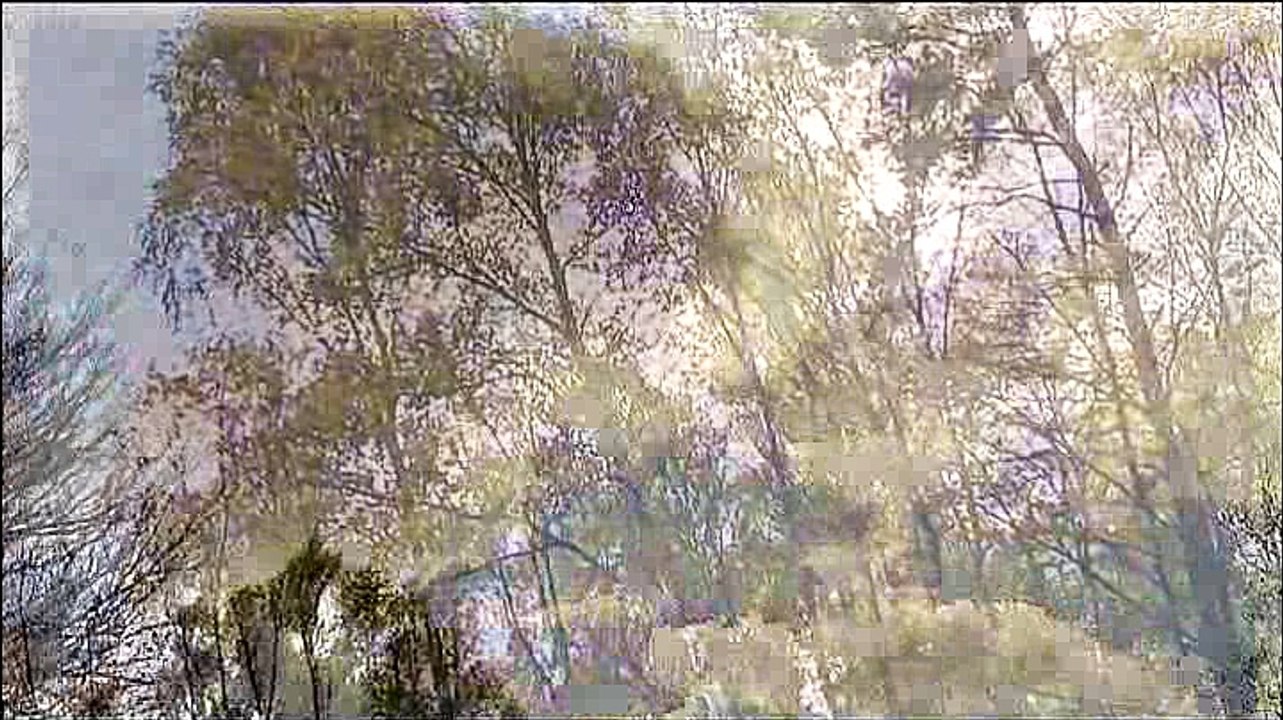 Flugzeuge über Köln