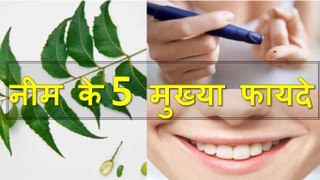 Do You Know The 7 Secret Benefit Of Neem  | Azadirachta indica |