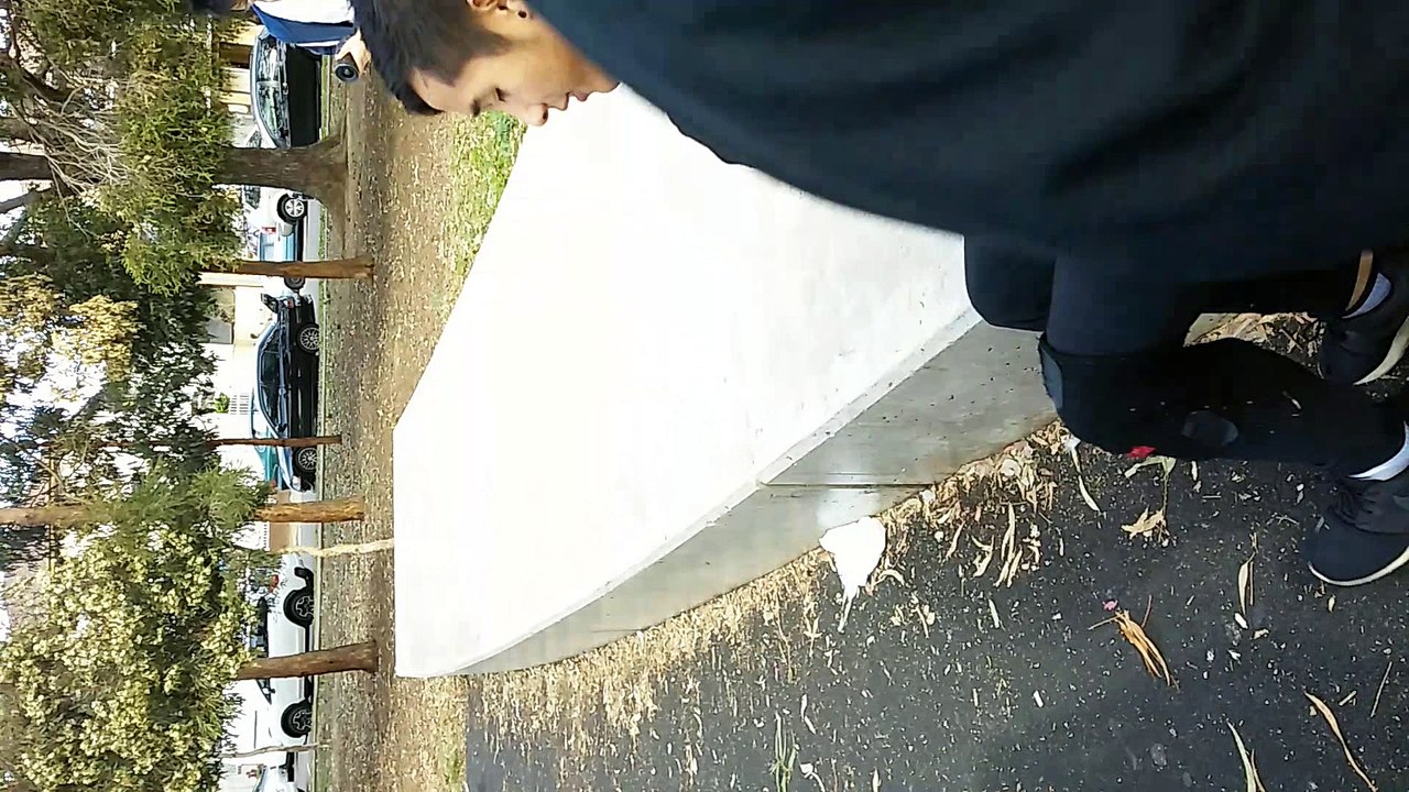 Parkour acrobatic climax