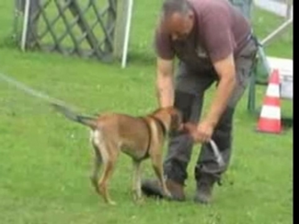 Be Aware Apollon-Schutz-03.10.2007