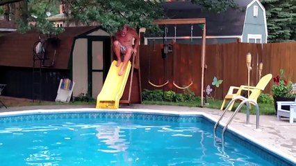 WE LOVE FAILS! - APRIL 2017 Week 4 The Best Fails - Funny Fa