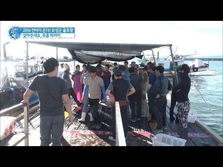 이른 아침부터 시작되는 전어경매 현장! [그들이 사는 세상] 10회 20160911