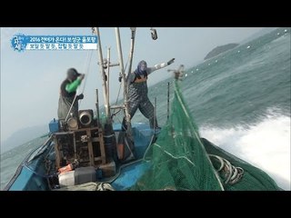 한시도 눈을 뗄 수 없는 전어 잡이! [그들이 사는 세상] 10회 20160911
