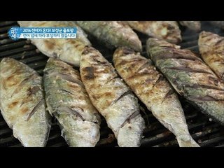 전어잡기 대회! 참가비 만원에 전어 한 가득! [그들이 사는 세상] 10회 20160911