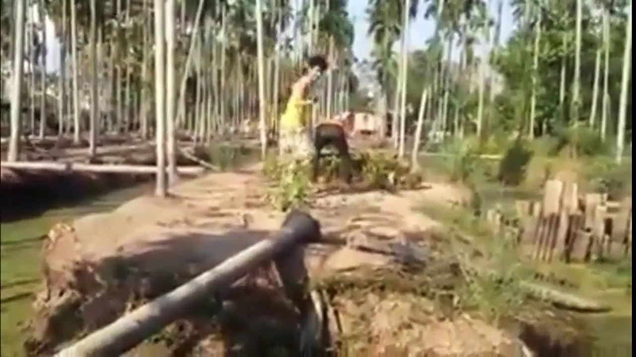 funny videos(7)