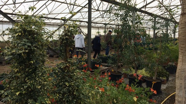 Portes ouvertes des serres municipales