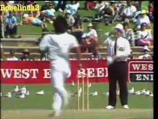 Wasim Akram BRILLIANT YORKER to Steve Waugh   2nd test 1989 90