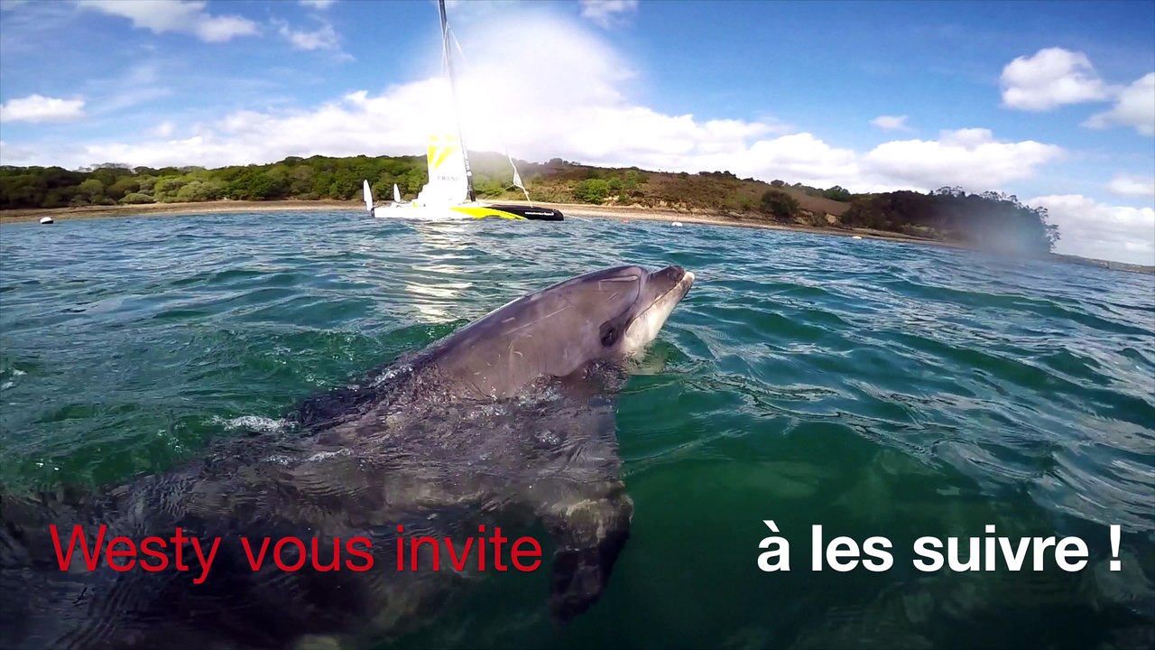 West Team -Grand Prix de Guyader