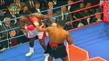 Lennox Lewis KNOCKOUTS & HIGHLIGHTS - HD #MosleyBoxing