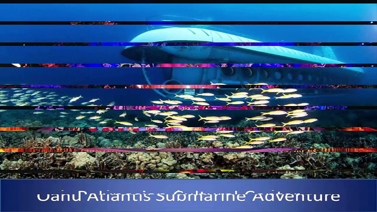 Trip to Hawaii | vacation in hawaii | What to Do in Honolulu | hawaii travel guide