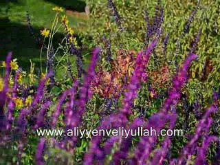 İbret Al Ey İnsan. Elşen Ğezer