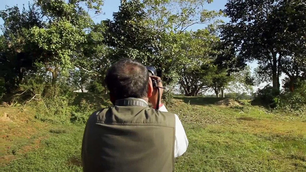 documentary India Man Plants Forest Bigger Than Central Park to Save His Island