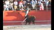 IMPRESIONANTE !!!!  TOROS 2017 con SUSTOS y COGIDAS. AMBIENTAZOOO, bullfighting festival Crazy bull attack people #312