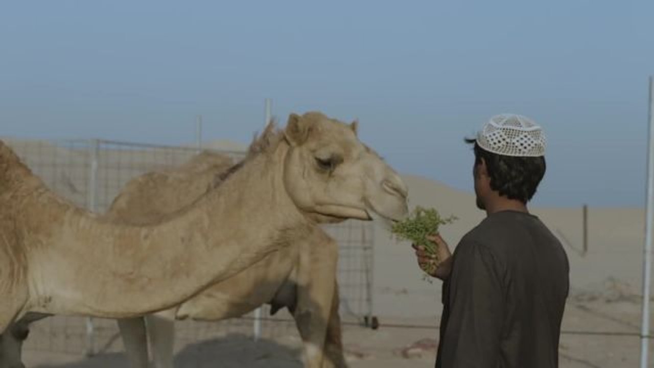 Road Tripping Through Abu Dhabi [Sponsored]