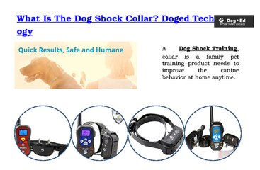 What Is The Dog Shock Collar? Doged Technology