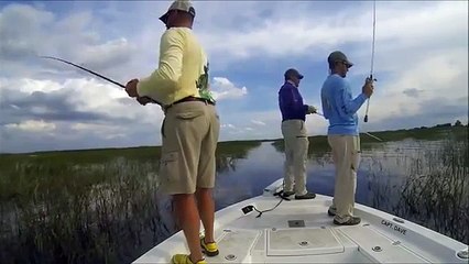 Divers - Pêcheur contre poisson