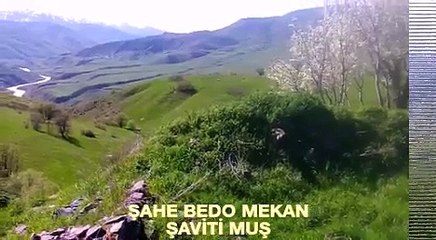 dengbeji ŞAHE BEDO MEKAN ŞAWİTİ