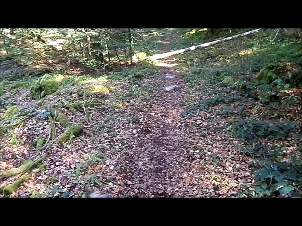 promenade avec les fifilles