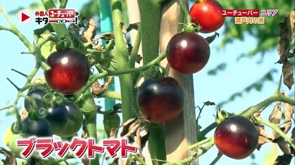 外国人ユーチューバーがキター!～Tokyoだけではない驚きニッポン～ 2016年09月24日 part 2/2