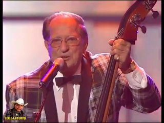 THE COMETS " SEE YOU LATER ALIGATOR " ROLLMOPS 2017