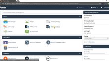 Check active FTP Connections to your hosting account in cPanel