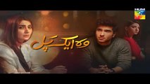Woh Aik Pal Episode 8 Full HD - 29 April 2017 - HUM TV Drama