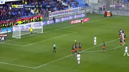 Nicolas de Préville  Goal HD - Montpellier 0-1 Lille 29.04.20107