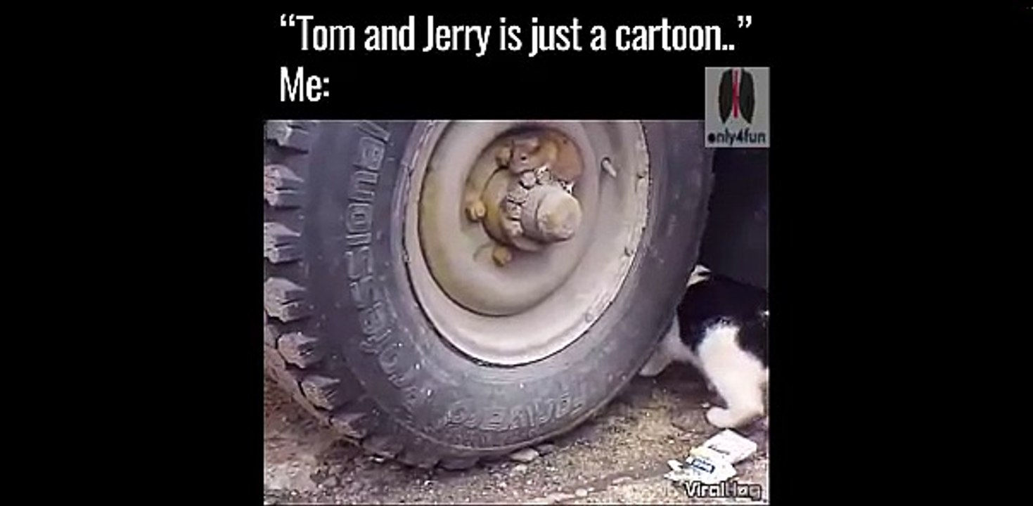 ORIGNAL TOM AND JERRY WATCH AND ENJOY BY ONLY4FUN