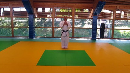 KATA NAHIANSHI WADO RYU
