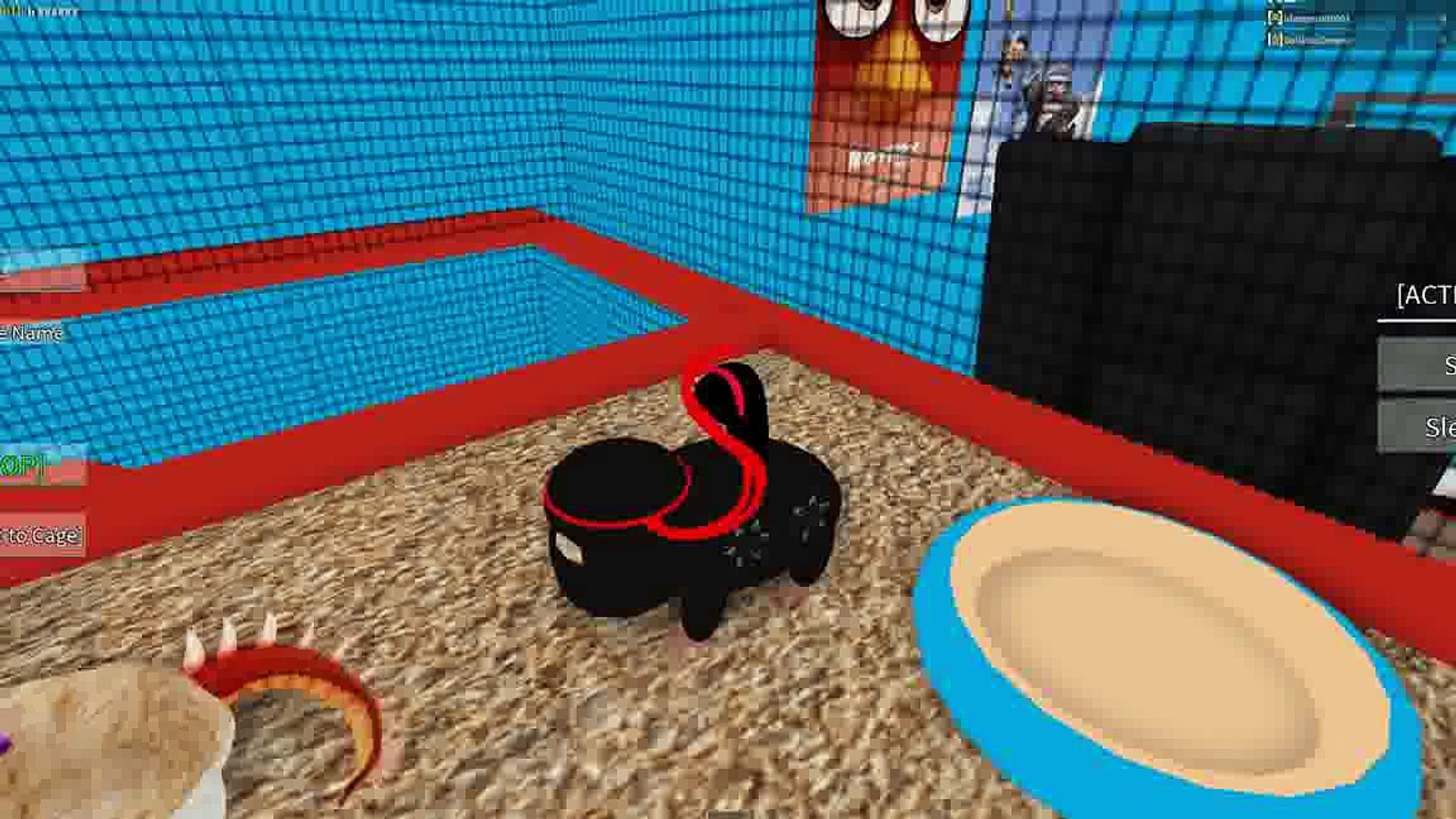 We Savage Guinea Pigs Roblox Guinea Pig Simulator 3 With Radiojh Games Audrey Dollastic P - #U0441#U043a#U0430#U0447#U0430#U0442#U044c lastic and slender eggdrey roblox normal elevator