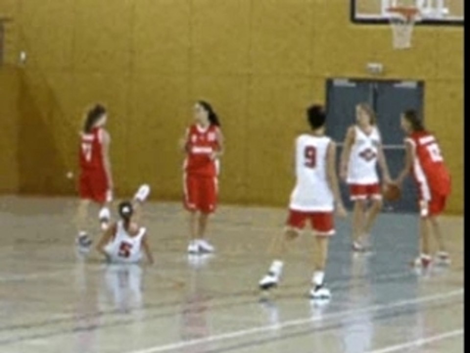 Chute basket